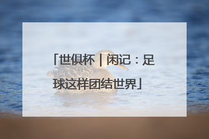 世俱杯｜闲记：足球这样团结世界