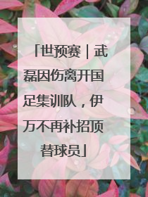 世预赛｜武磊因伤离开国足集训队，伊万不再补招顶替球员