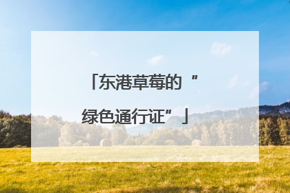 东港草莓的“绿色通行证”