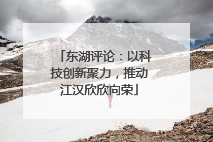 东湖评论：以科技创新聚力，推动江汉欣欣向荣