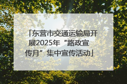 东营市交通运输局开展2025年“路政宣传月”集中宣传活动