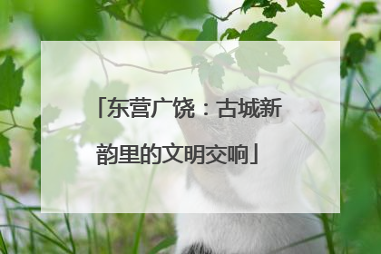 东营广饶：古城新韵里的文明交响