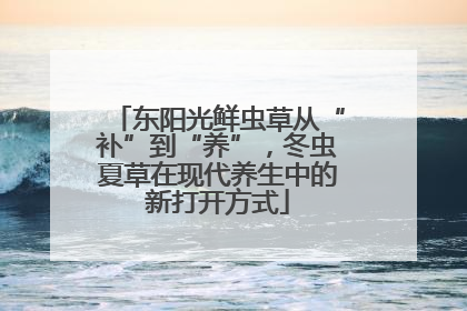东阳光鲜虫草从“补”到“养”，冬虫夏草在现代养生中的新打开方式