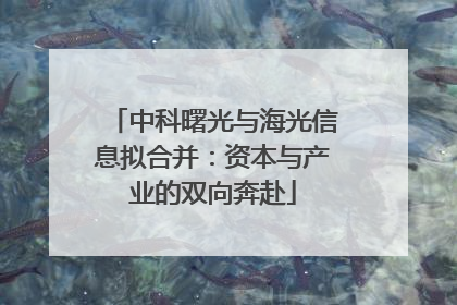 中科曙光与海光信息拟合并：资本与产业的双向奔赴
