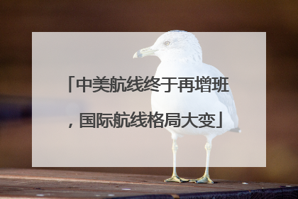 中美航线终于再增班，国际航线格局大变