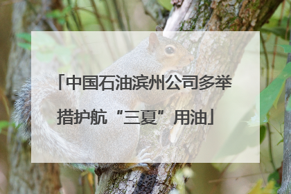 中国石油滨州公司多举措护航“三夏”用油