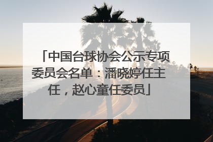 中国台球协会公示专项委员会名单：潘晓婷任主任，赵心童任委员