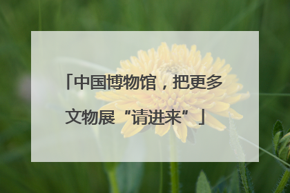 中国博物馆，把更多文物展“请进来”