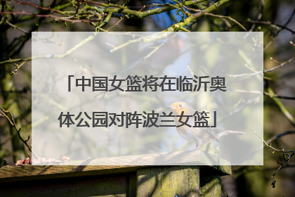 中国女篮将在临沂奥体公园对阵波兰女篮