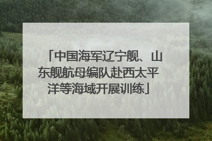 中国海军辽宁舰、山东舰航母编队赴西太平洋等海域开展训练