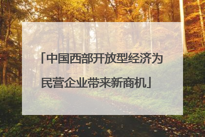 中国西部开放型经济为民营企业带来新商机