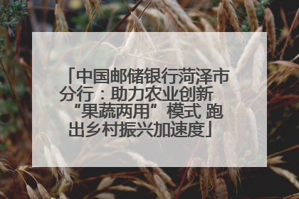 中国邮储银行菏泽市分行：助力农业创新 “果蔬两用”模式 跑出乡村振兴加速度