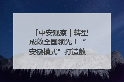 中安观察｜转型成效全国领先！“安徽模式”打造数字化转型新标杆