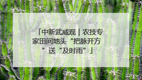 中新武威观｜农技专家田间地头“把脉开方”送“及时雨”