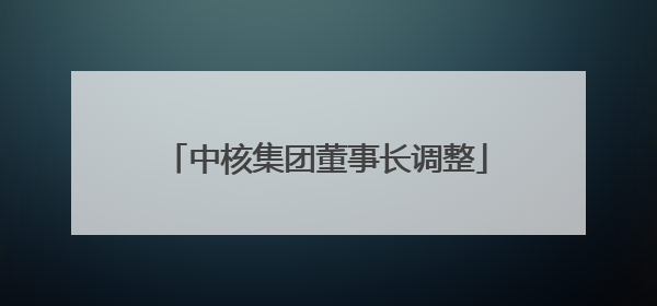 中核集团董事长调整