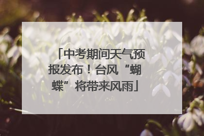 中考期间天气预报发布！台风“蝴蝶”将带来风雨