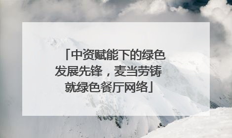 中资赋能下的绿色发展先锋，麦当劳铸就绿色餐厅网络