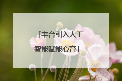 丰台引入人工智能赋能心育