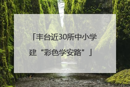丰台近30所中小学建“彩色学安路”