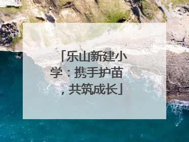 乐山新建小学：携手护苗，共筑成长