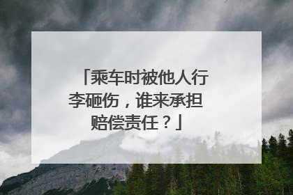 乘车时被他人行李砸伤，谁来承担赔偿责任？