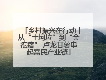 乡村振兴在行动丨从“土坷垃”到“金疙瘩” 卢龙甘薯串起富民产业链