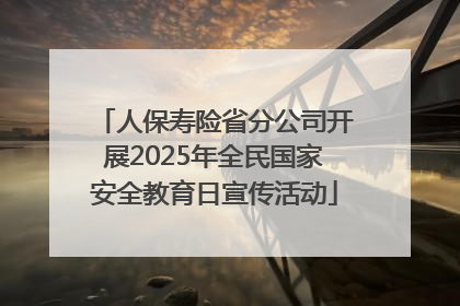人保寿险省分公司开展2025年全民国家安全教育日宣传活动