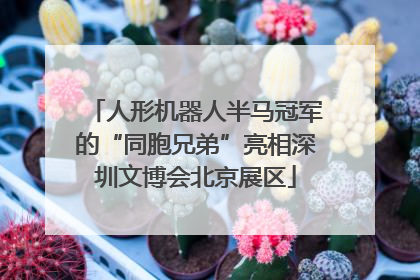 人形机器人半马冠军的“同胞兄弟”亮相深圳文博会北京展区
