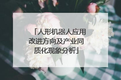 人形机器人应用改进方向及产业同质化现象分析