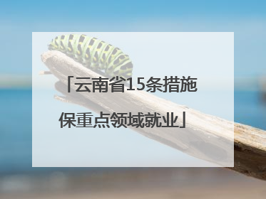 云南省15条措施保重点领域就业