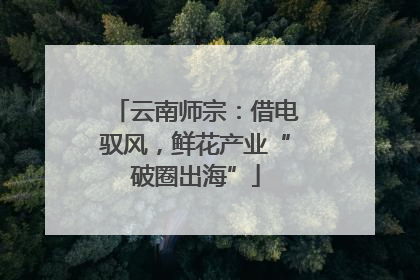 云南师宗：借电驭风，鲜花产业“破圈出海”