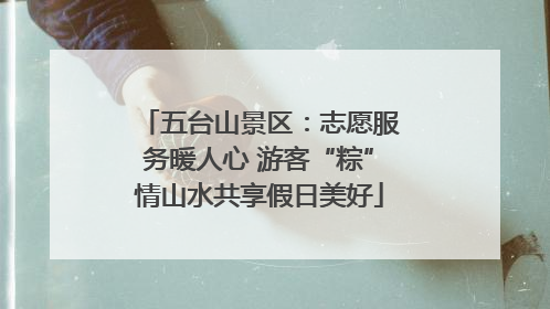 五台山景区：志愿服务暖人心 游客“粽”情山水共享假日美好