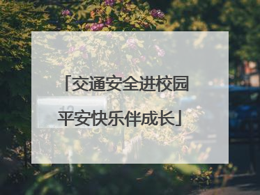 交通安全进校园 平安快乐伴成长
