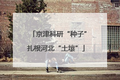 京津科研“种子”扎根河北“土壤”
