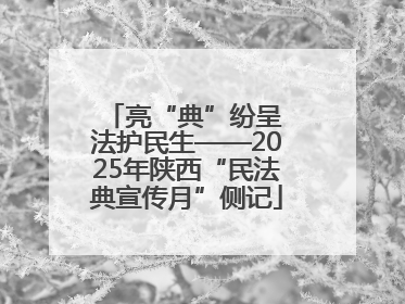 亮“典”纷呈 法护民生——2025年陕西“民法典宣传月”侧记
