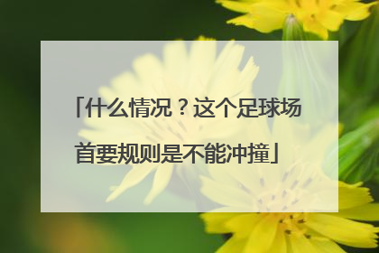 什么情况？这个足球场首要规则是不能冲撞