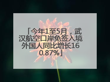 今年1至5月，武汉航空口岸免签入境外国人同比增长160.87%