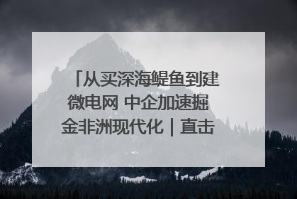 从买深海鳀鱼到建微电网 中企加速掘金非洲现代化｜直击中非经贸博览会