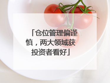 仓位管理偏谨慎，两大领域获投资者看好