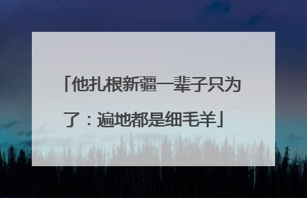 他扎根新疆一辈子只为了：遍地都是细毛羊