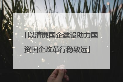 以清廉国企建设助力国资国企改革行稳致远