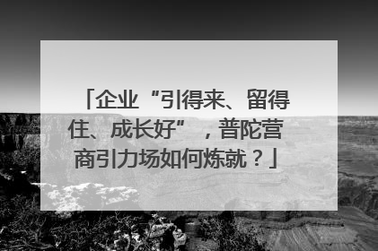企业“引得来、留得住、成长好”，普陀营商引力场如何炼就？