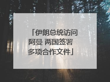 伊朗总统访问阿曼 两国签署多项合作文件