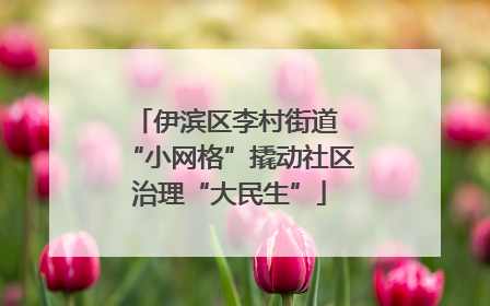伊滨区李村街道 “小网格”撬动社区治理“大民生”