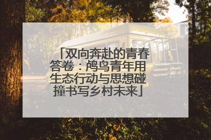 双向奔赴的青春答卷：鸬鸟青年用生态行动与思想碰撞书写乡村未来