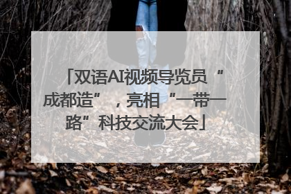 双语AI视频导览员“成都造”，亮相“一带一路”科技交流大会