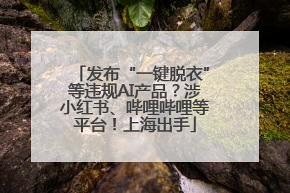 发布“一键脱衣”等违规AI产品？涉小红书、哔哩哔哩等平台！上海出手