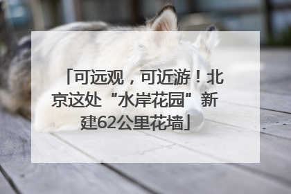 可远观，可近游！北京这处“水岸花园”新建62公里花墙
