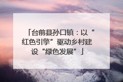 台前县孙口镇：以“红色引擎”驱动乡村建设“绿色发展”