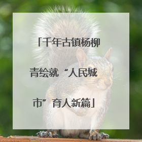 千年古镇杨柳青绘就“人民城市”育人新篇